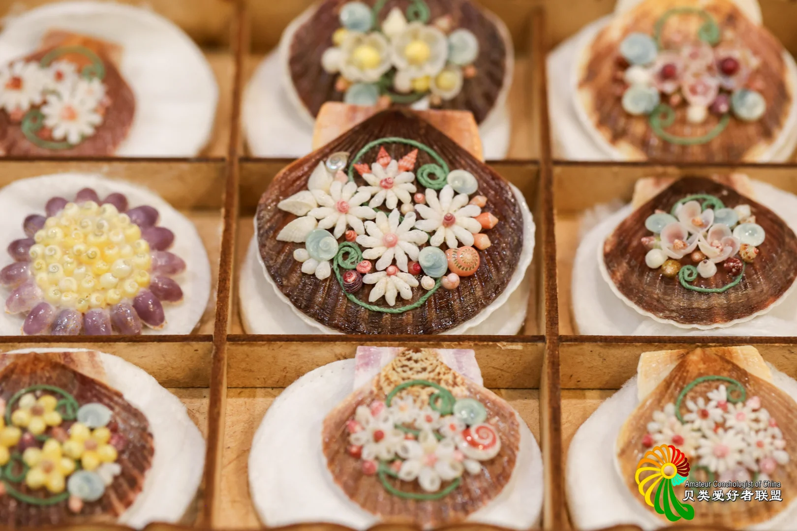 2025年北京国际贝展回顾