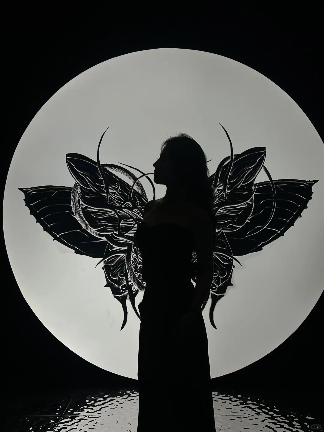 ?上海新展｜“可她眼波轮转”