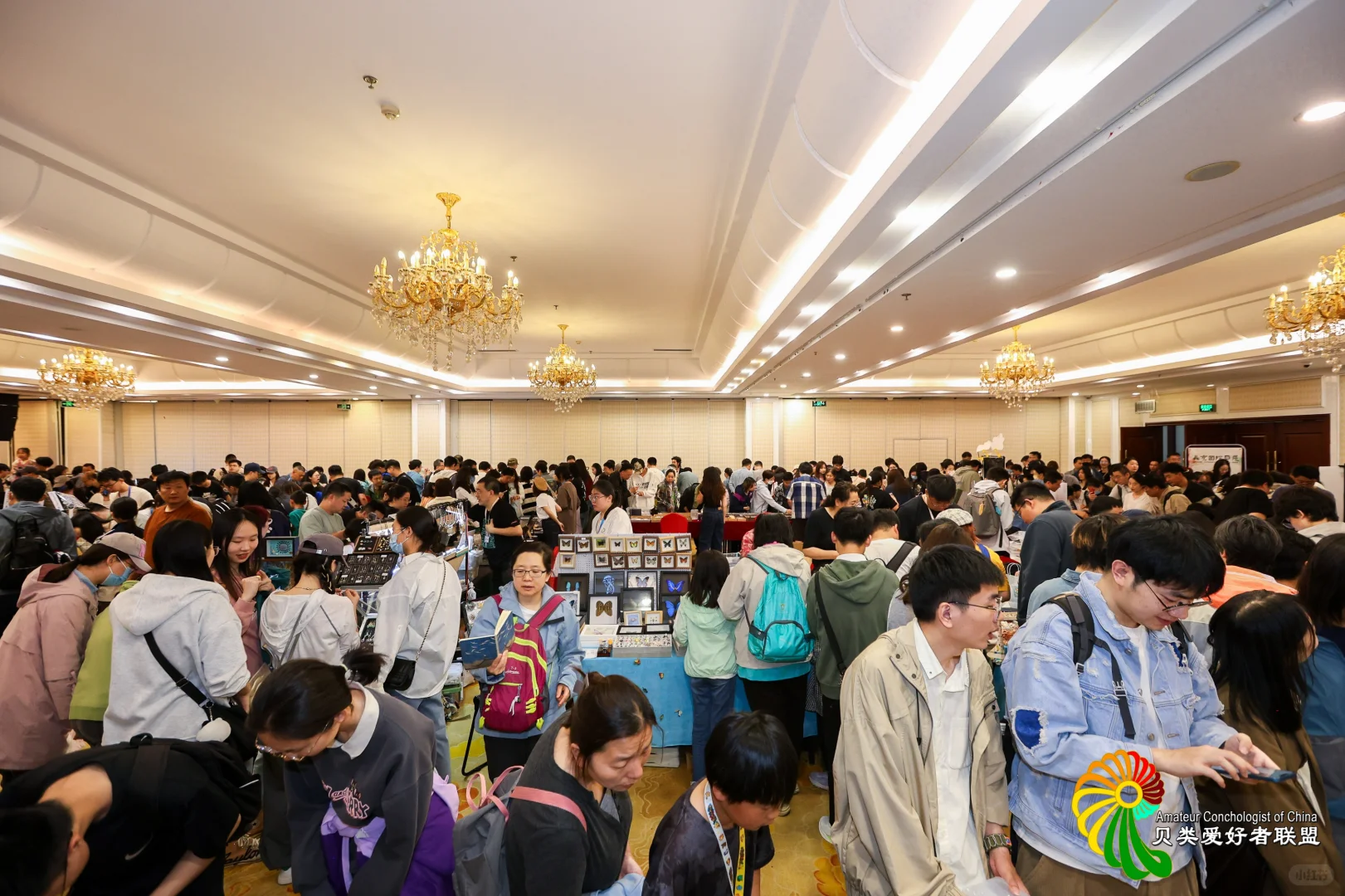 2025年北京国际贝展回顾