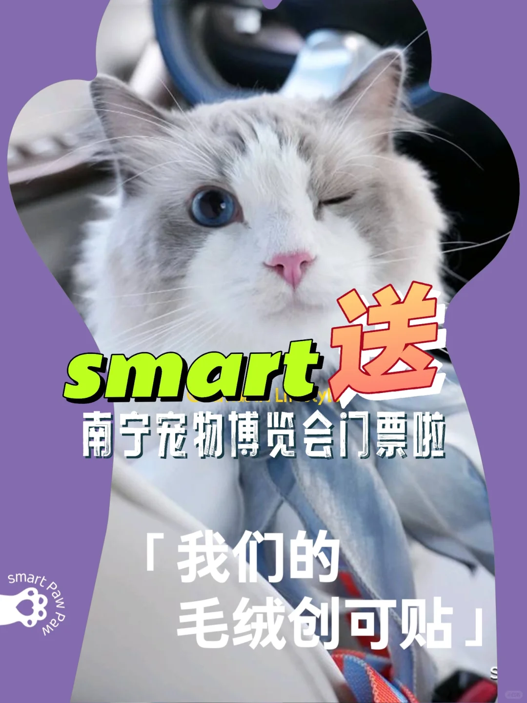 smart送你去看南宁(东盟)宠物博览会啦！