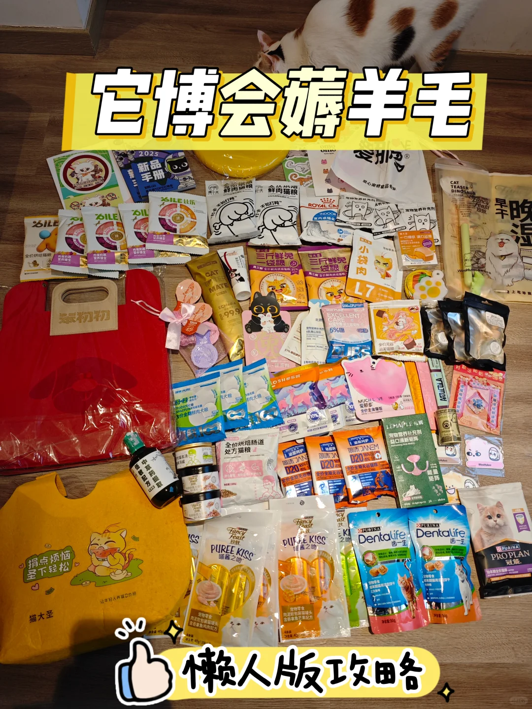 它博会五小时战果！附攻略！