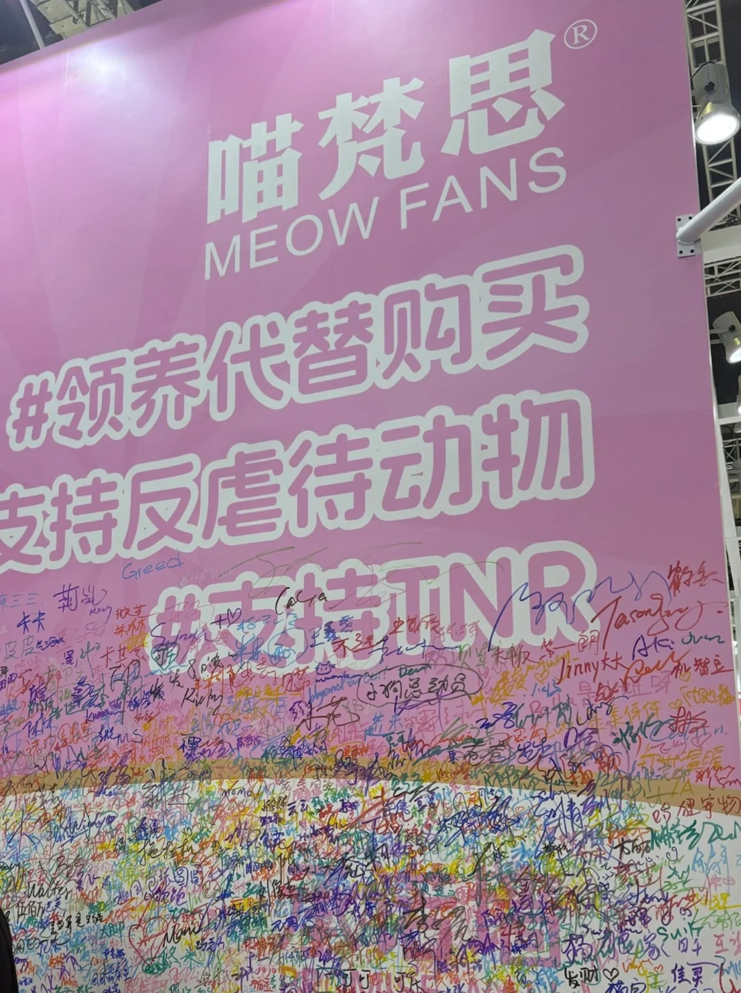 它博会第一天逛完给大家总结！！！