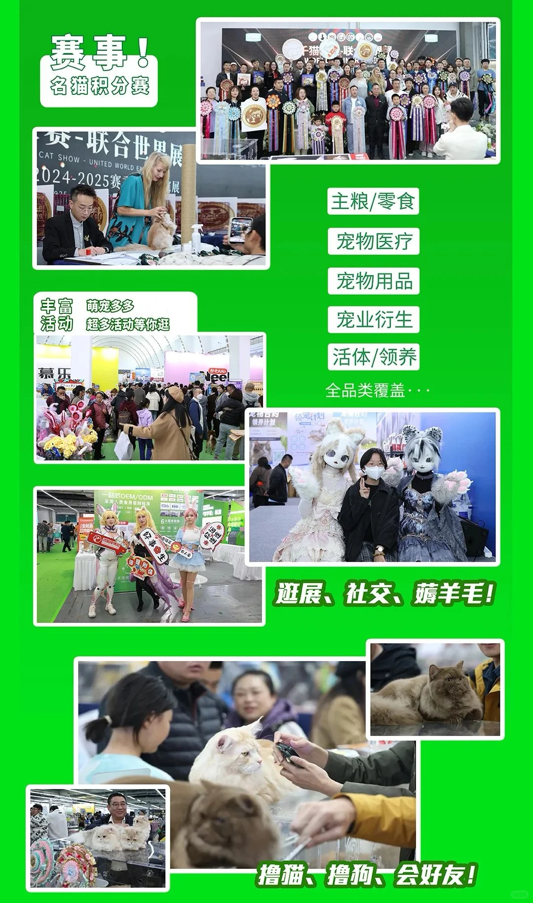 沈阳五月的展会信息及夏季漫展！