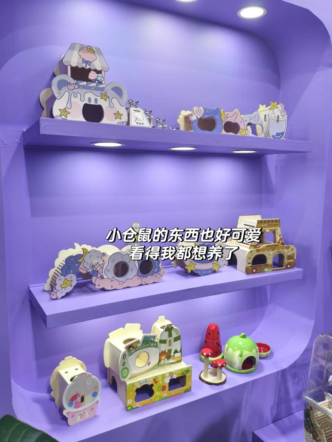 它博会第一批受害者回来了