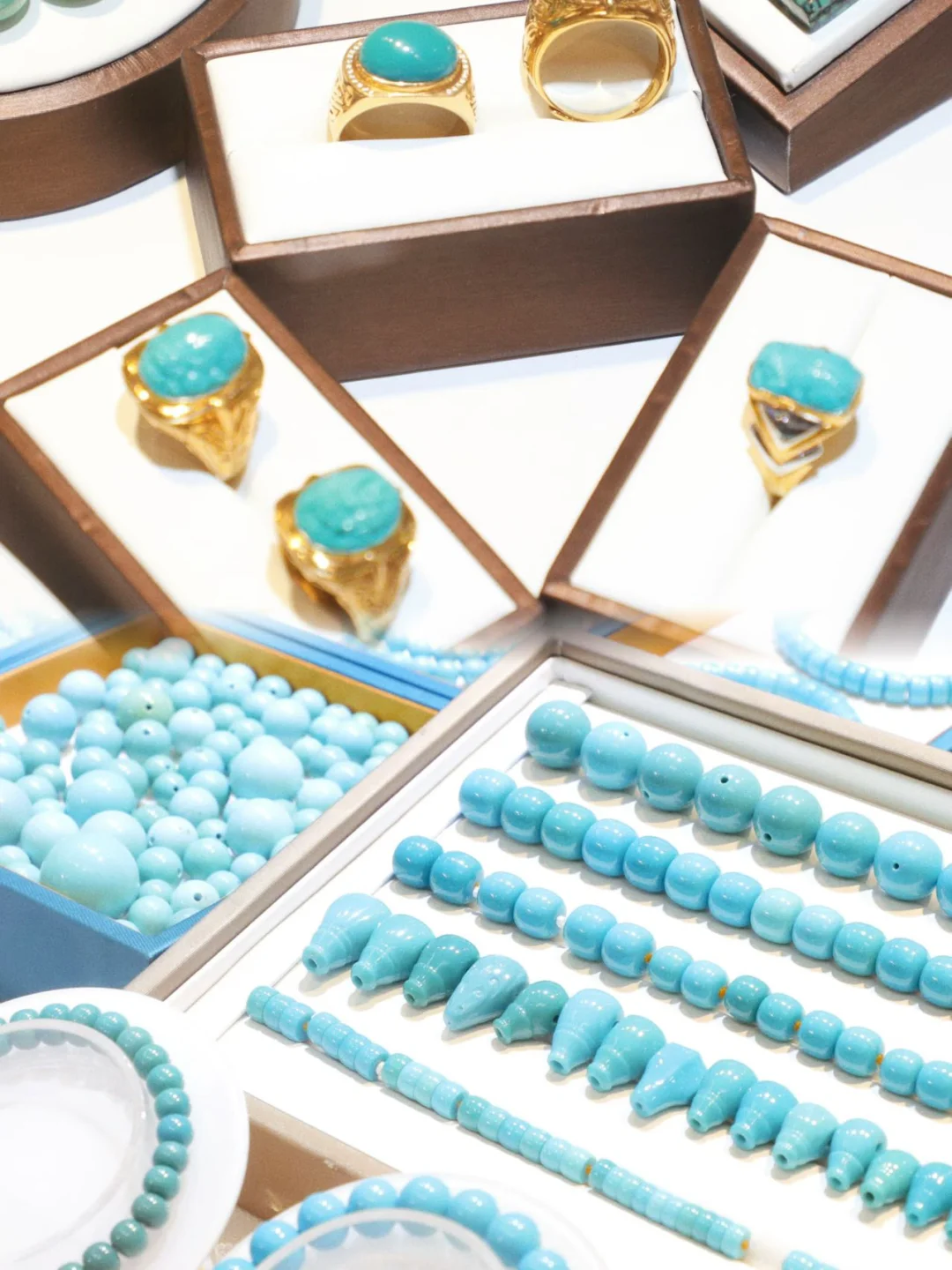 即将开展‼️今年上海超震撼大展‼️