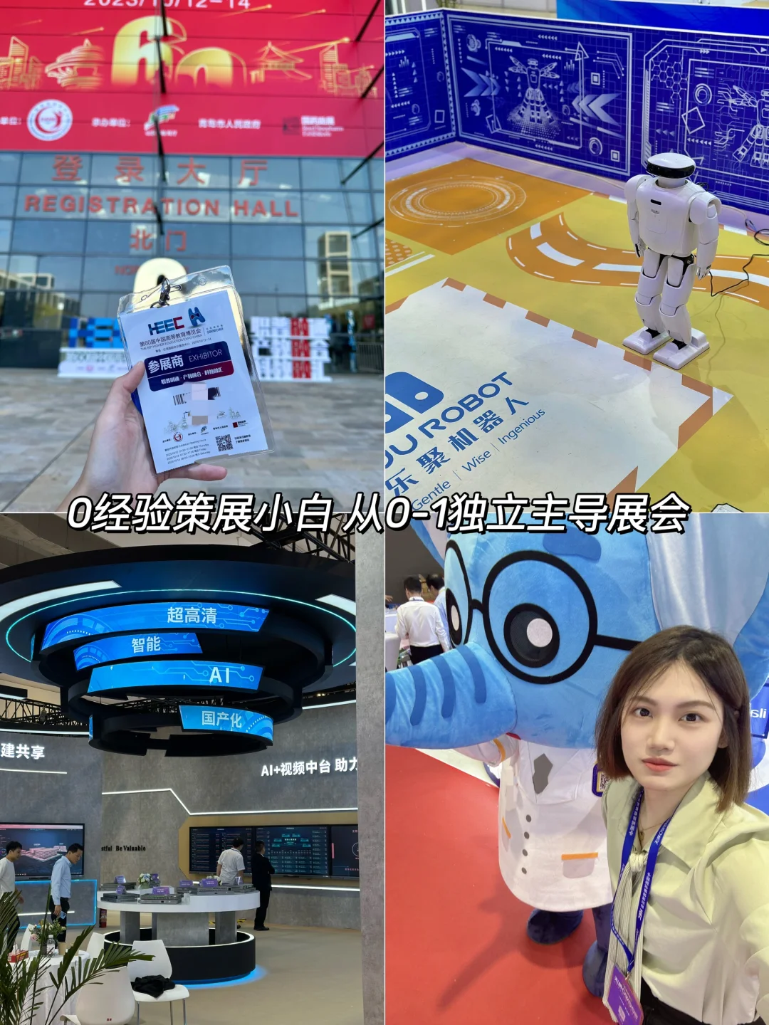 0经验首次策展不会写展会策划案‼️请照着抄
