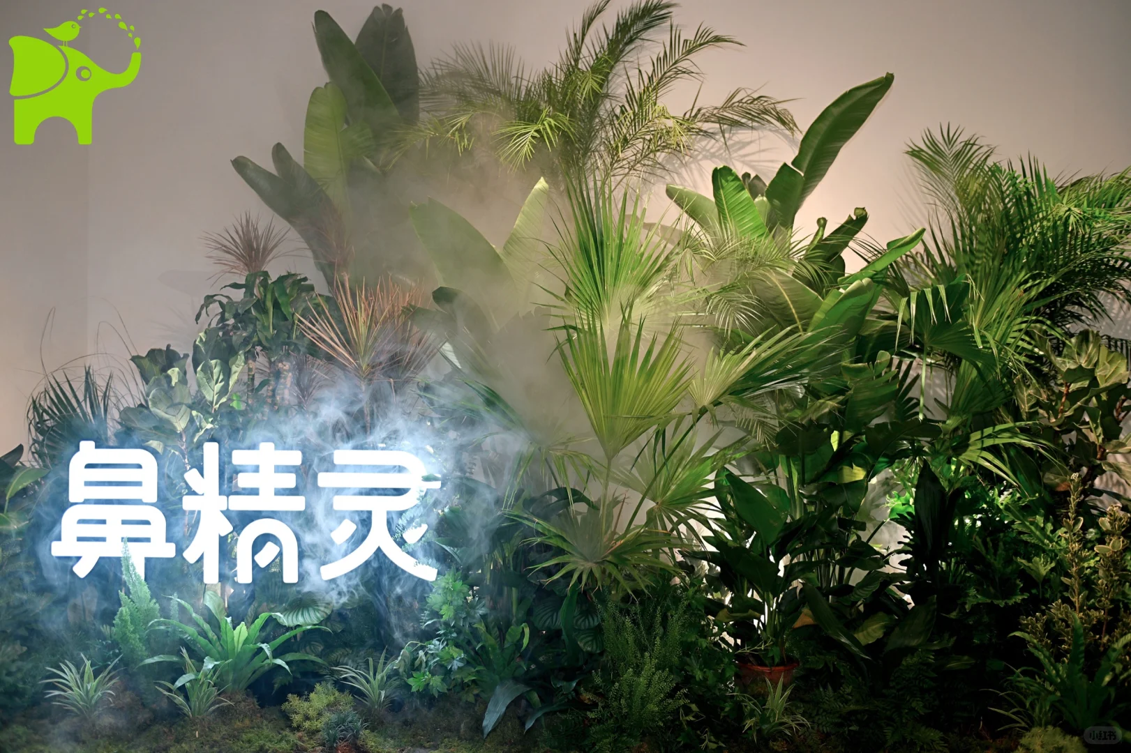 在这里真的很轻松～鼻精灵新品展览会