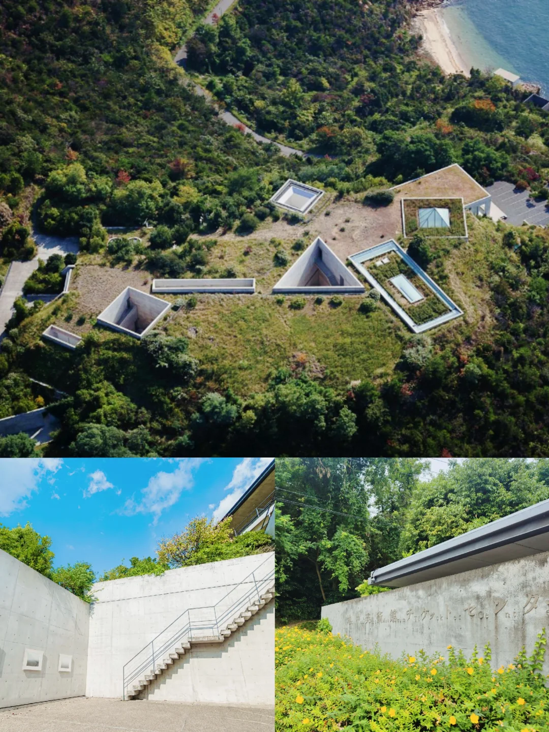 2025濑户内国际艺术节！超绝攻略来袭✨