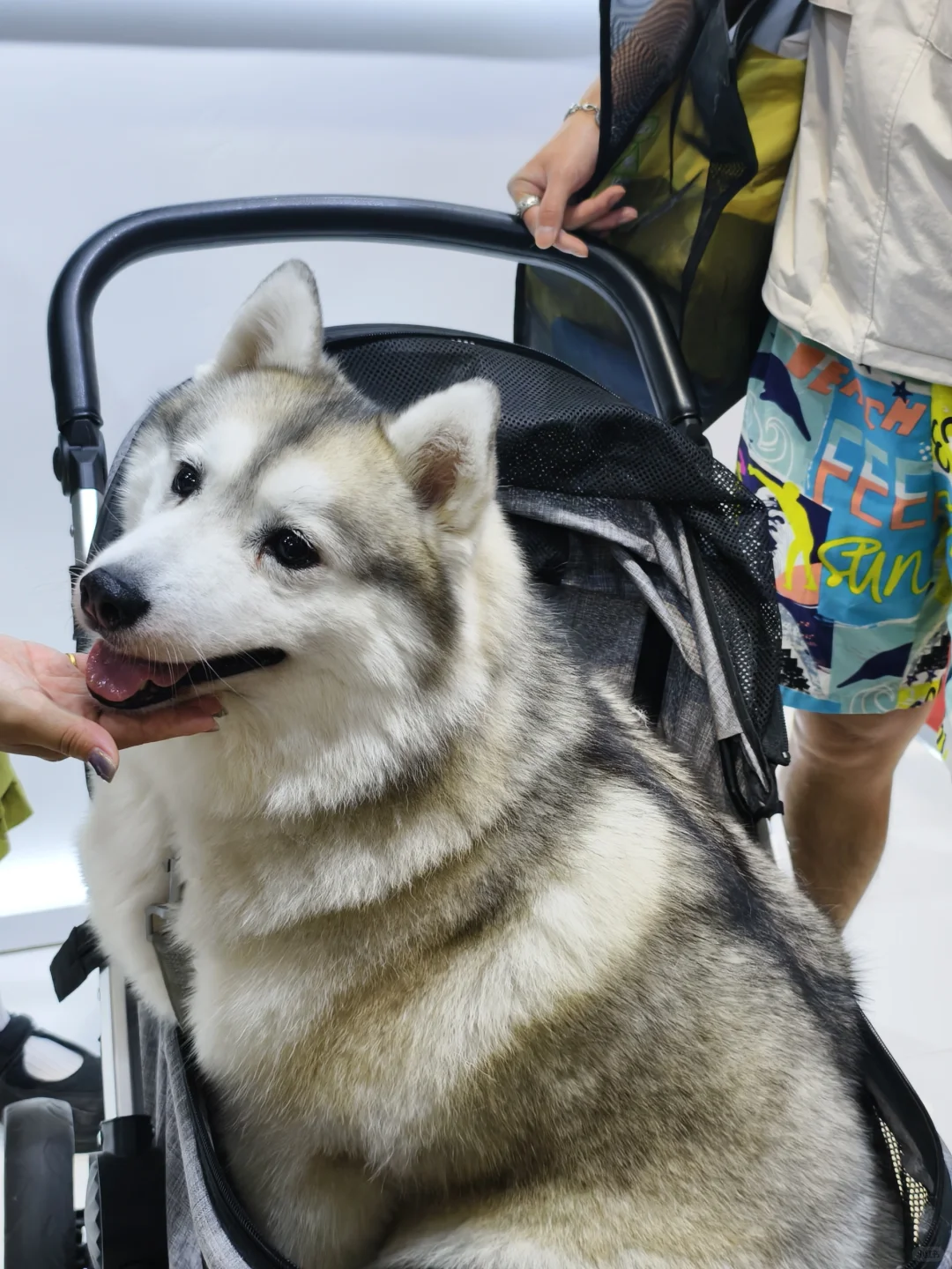 它博会第一批受害者回来了