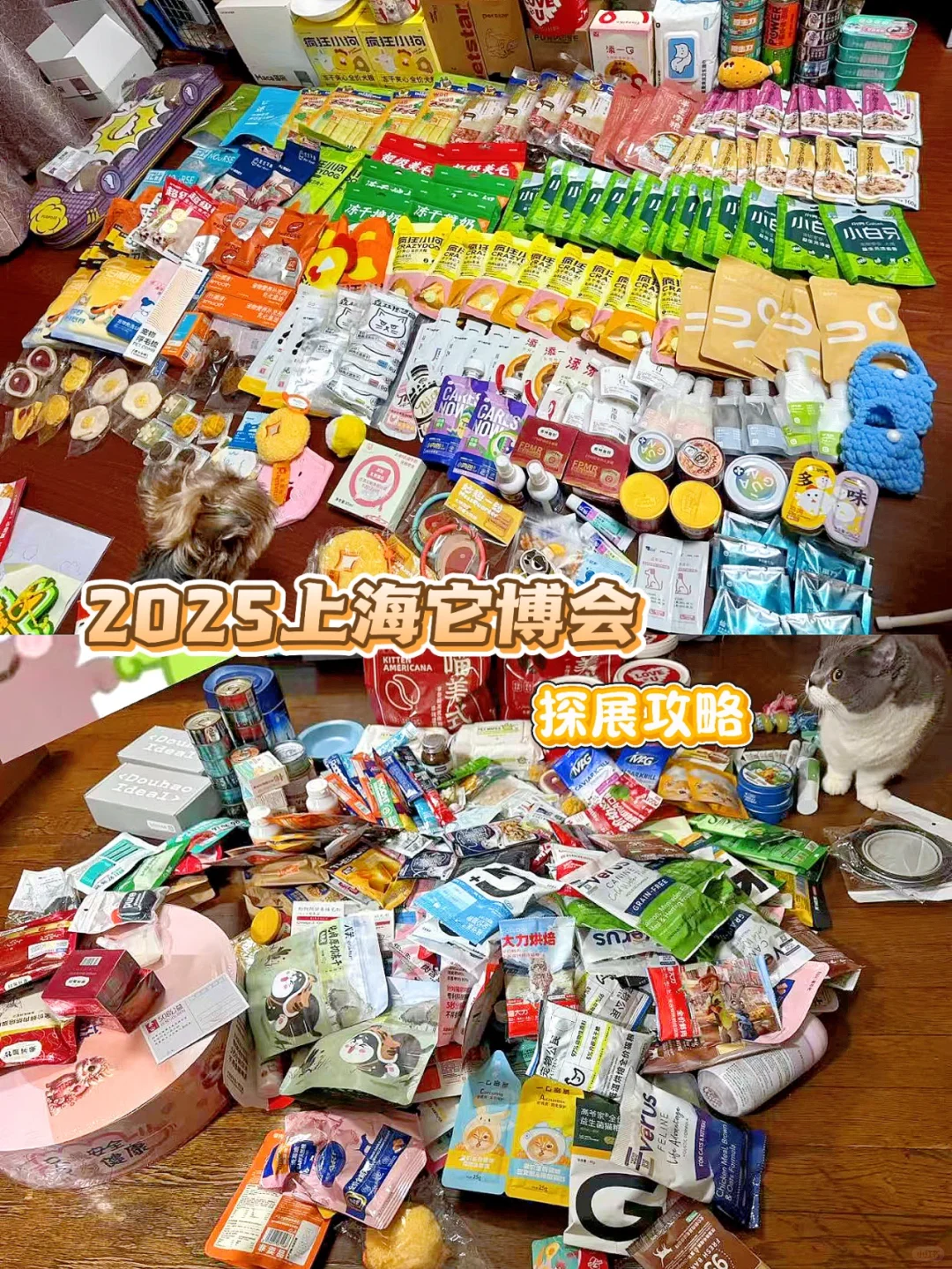 2025上海它博会准备冲了吗？0元购的快乐