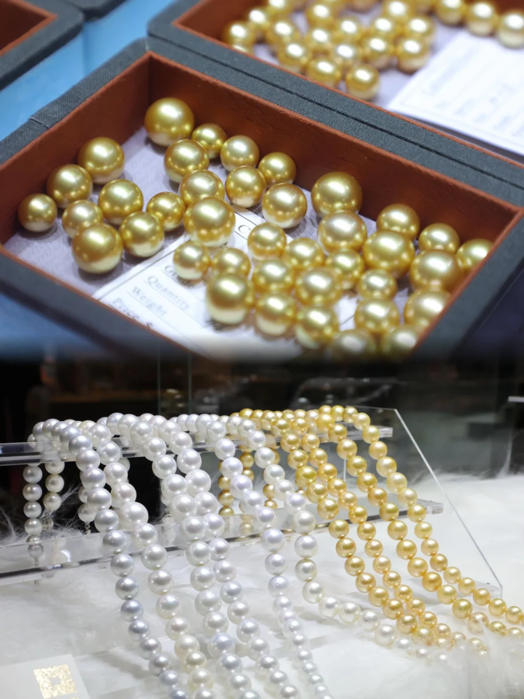 即将开展‼️今年上海超震撼大展‼️