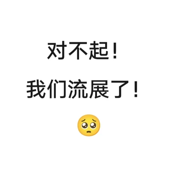 对不起！我们流展了！