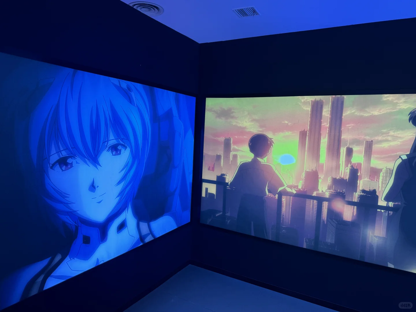 作为一个骨粉谈EVA展感受