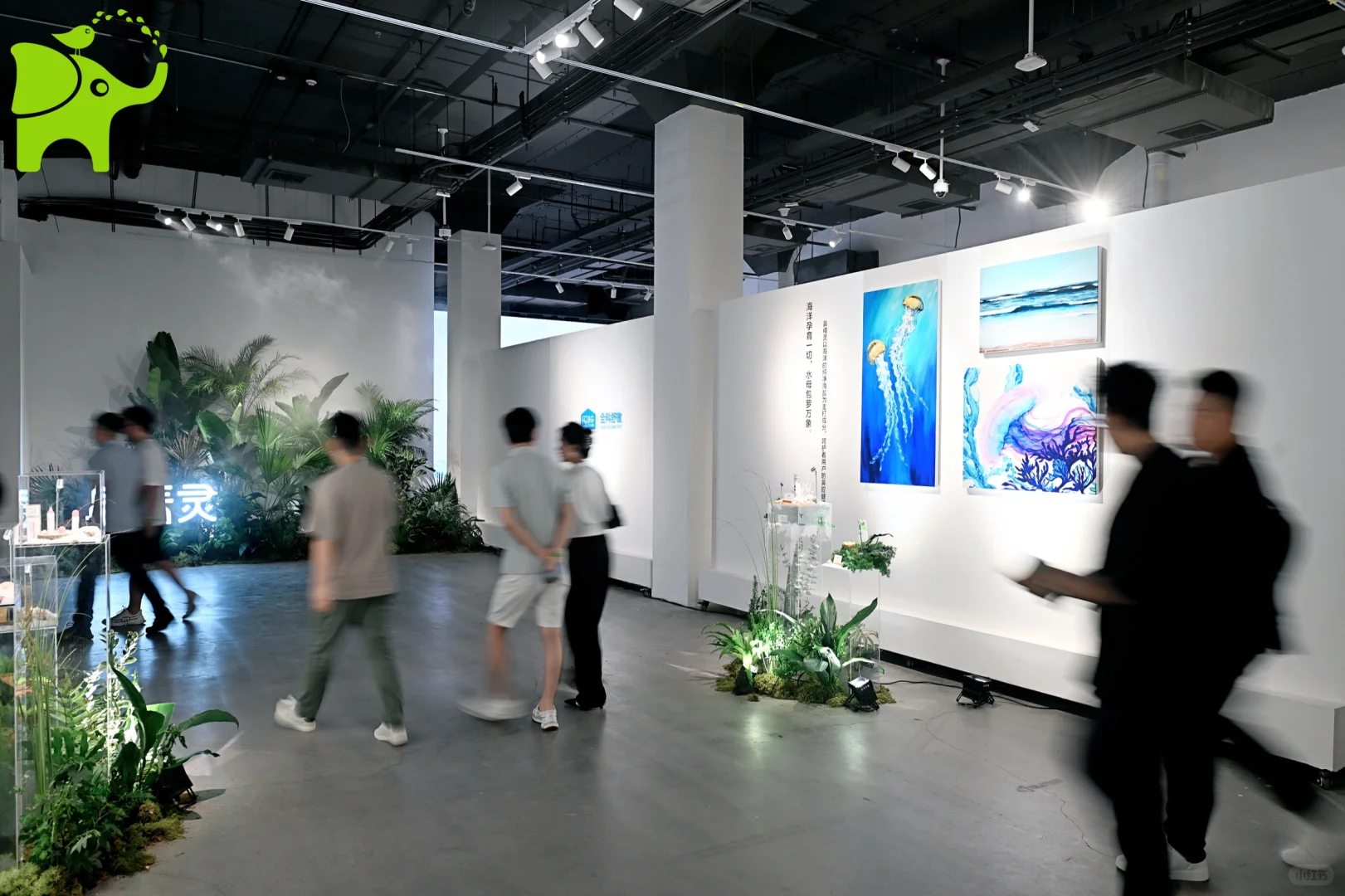 在这里真的很轻松～鼻精灵新品展览会