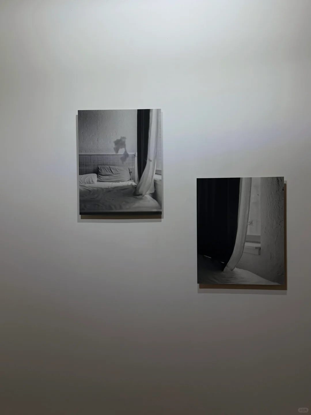 影像上海博览会｜用镜头?捕捉瞬间的“画”们