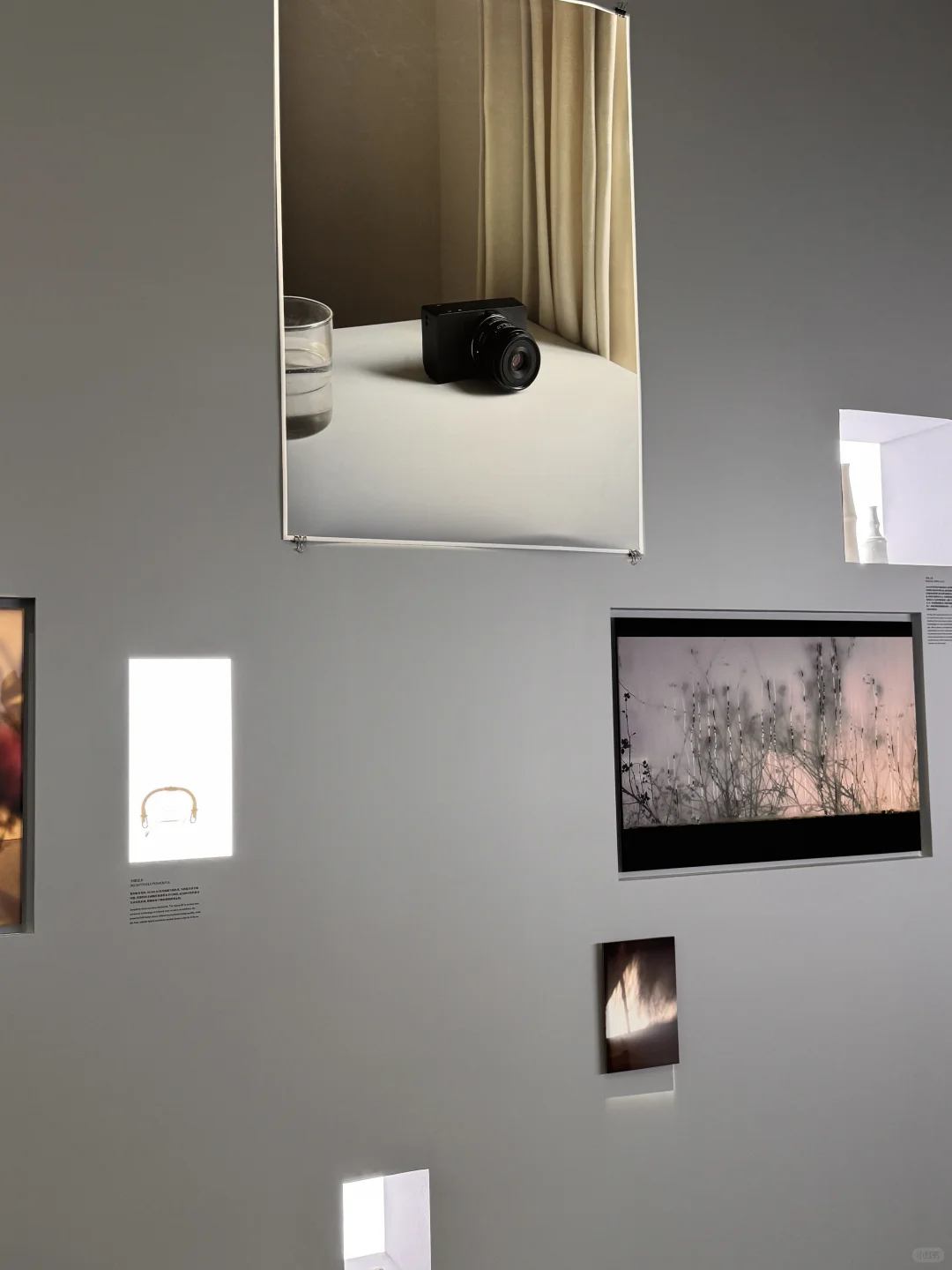 PHOTOFAIRS SIGMA的调性也太高了