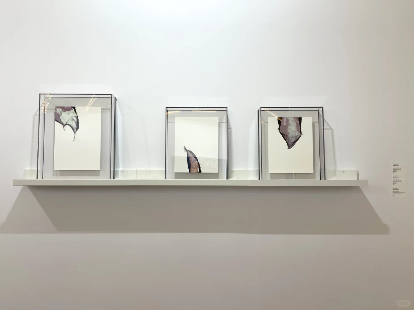 艺博会现场｜2025影像上海艺术博览会