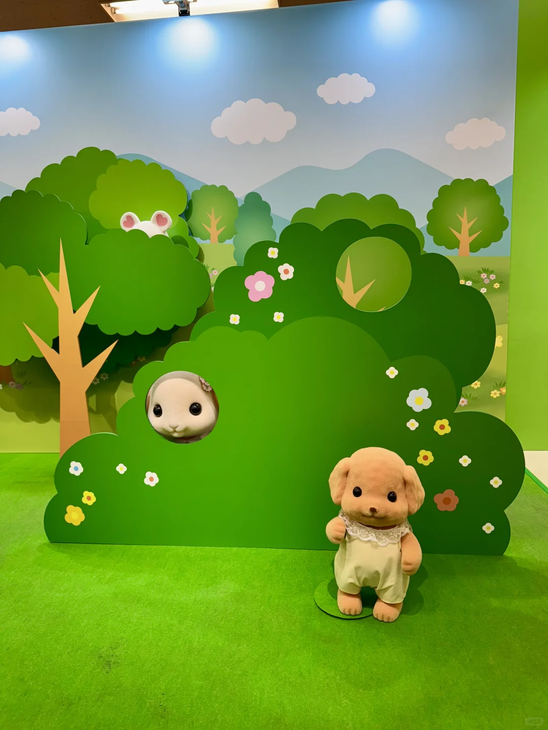 森贝儿40周年展✨可算来了