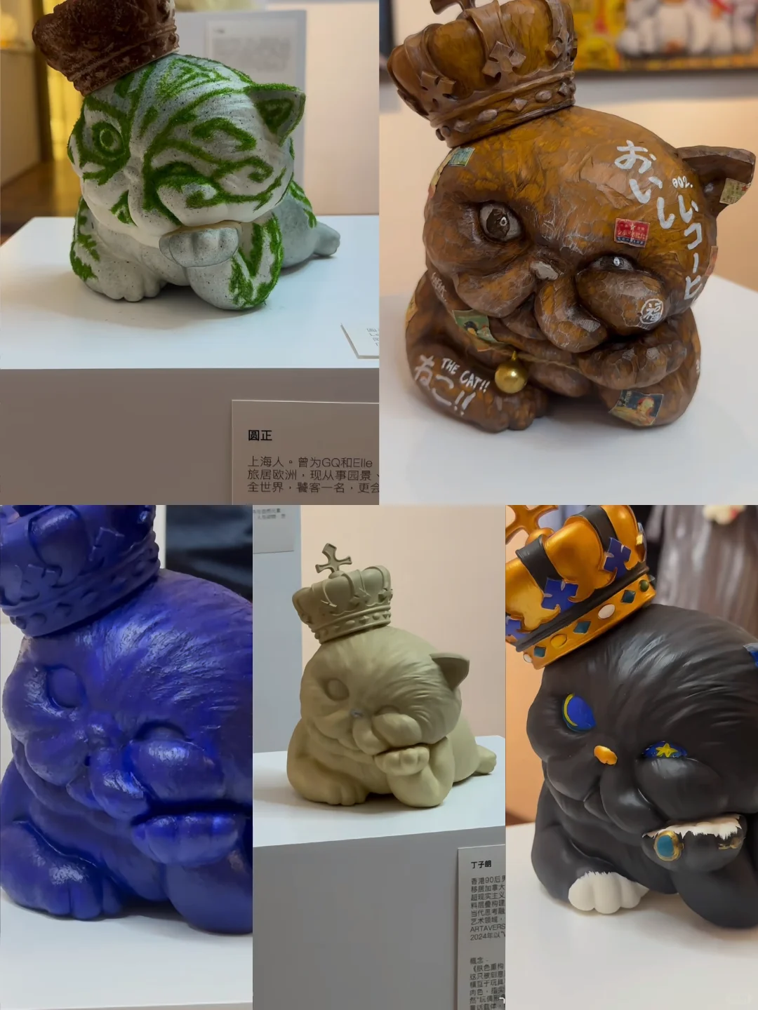 免费展览?“我带了一只猫来上海”?