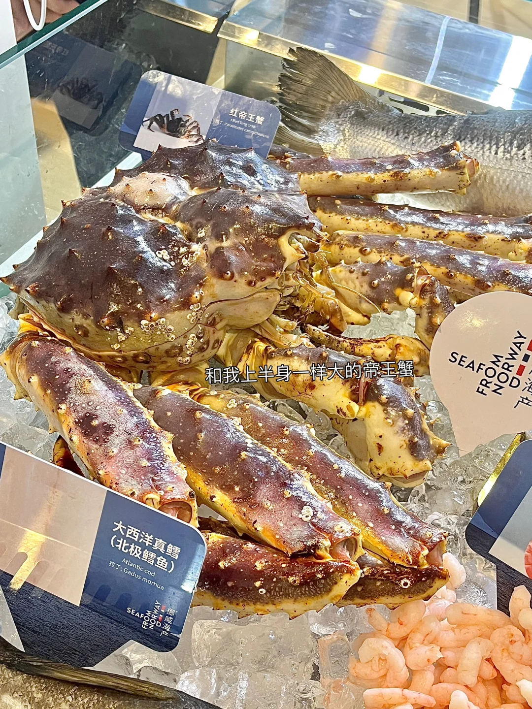 没有人可以空着手离开进博会?羊毛真的太多