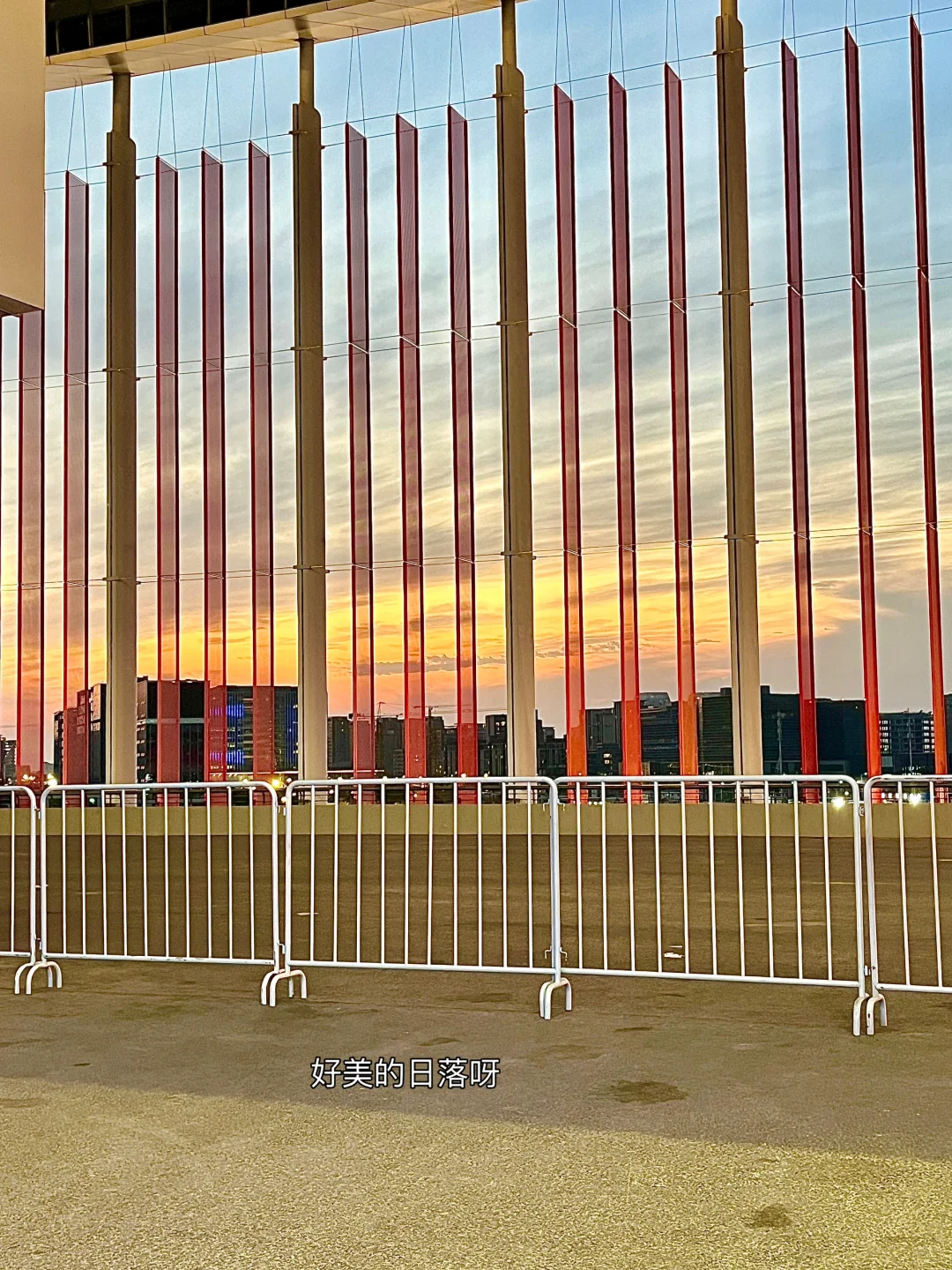 没有人可以空着手离开进博会?羊毛真的太多