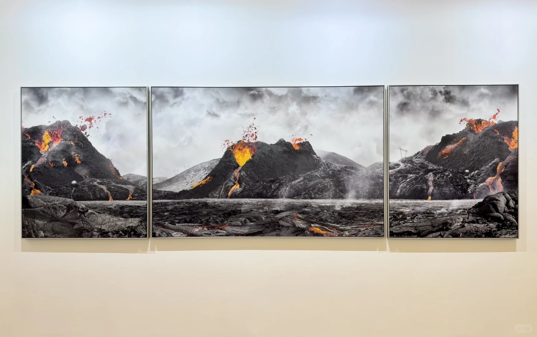 参观“第十届影像上海艺术博览会”