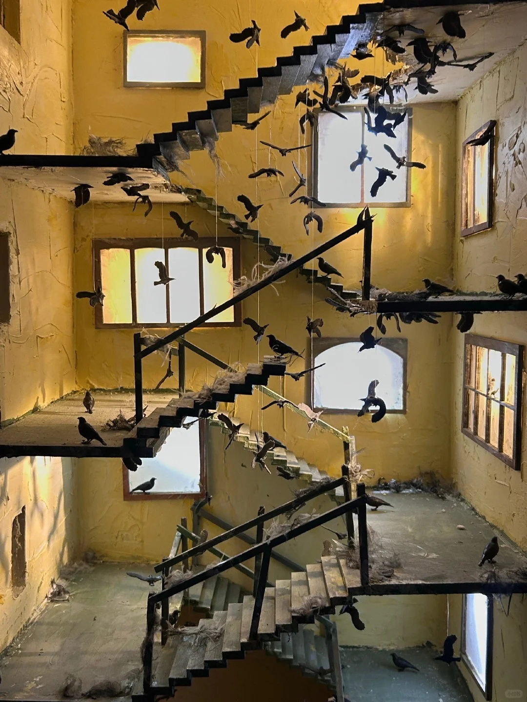 每年六月杭州限定，一年一度的国美毕业展❗️