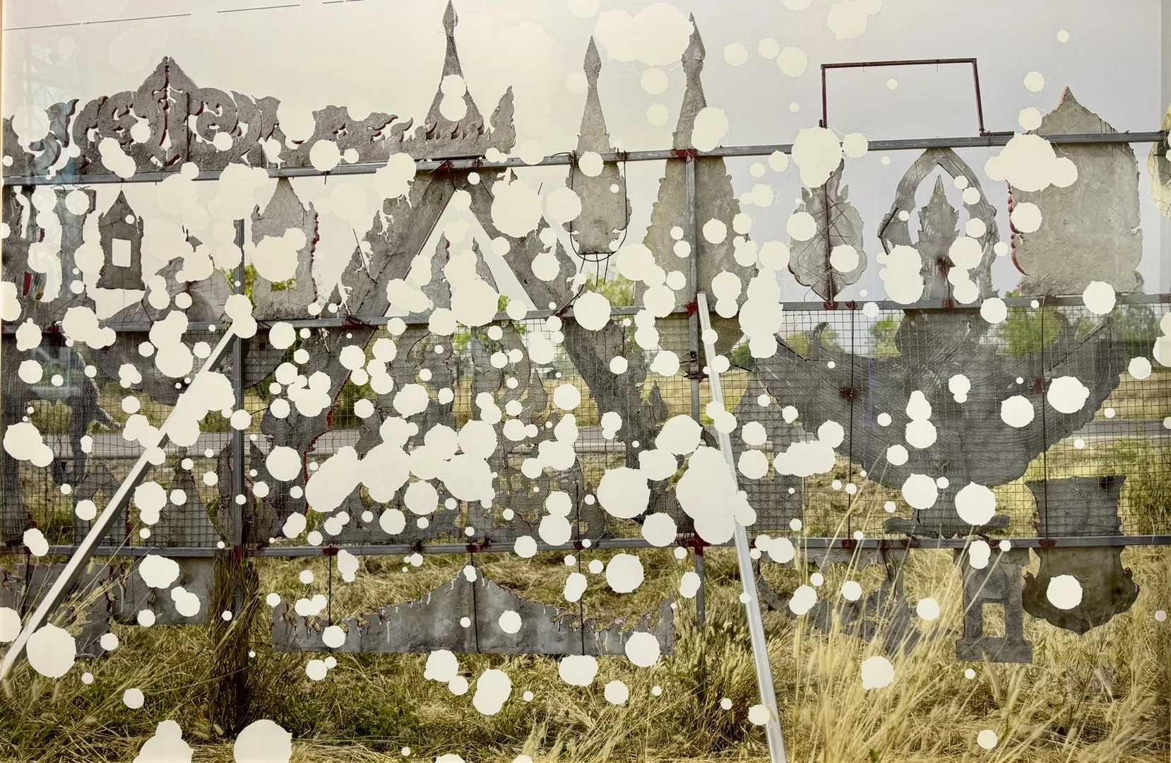 参观“第十届影像上海艺术博览会”