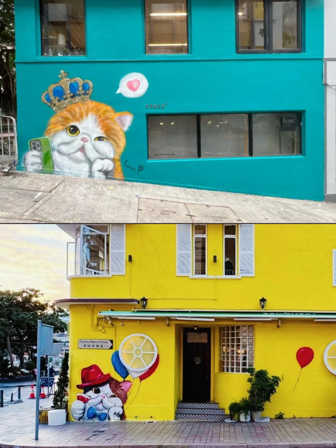 免费展览?“我带了一只猫来上海”?