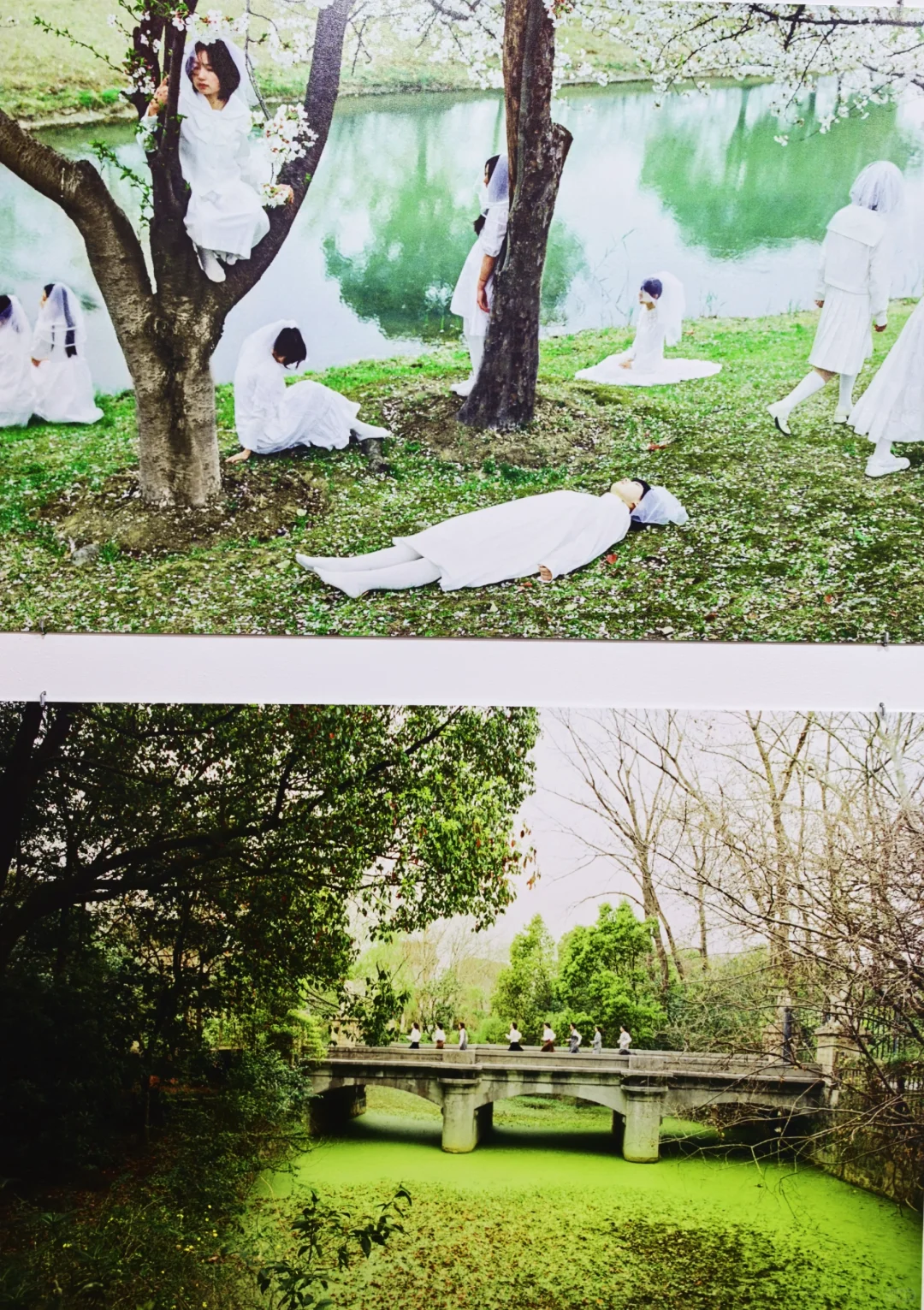 2025影像上海艺术博览会