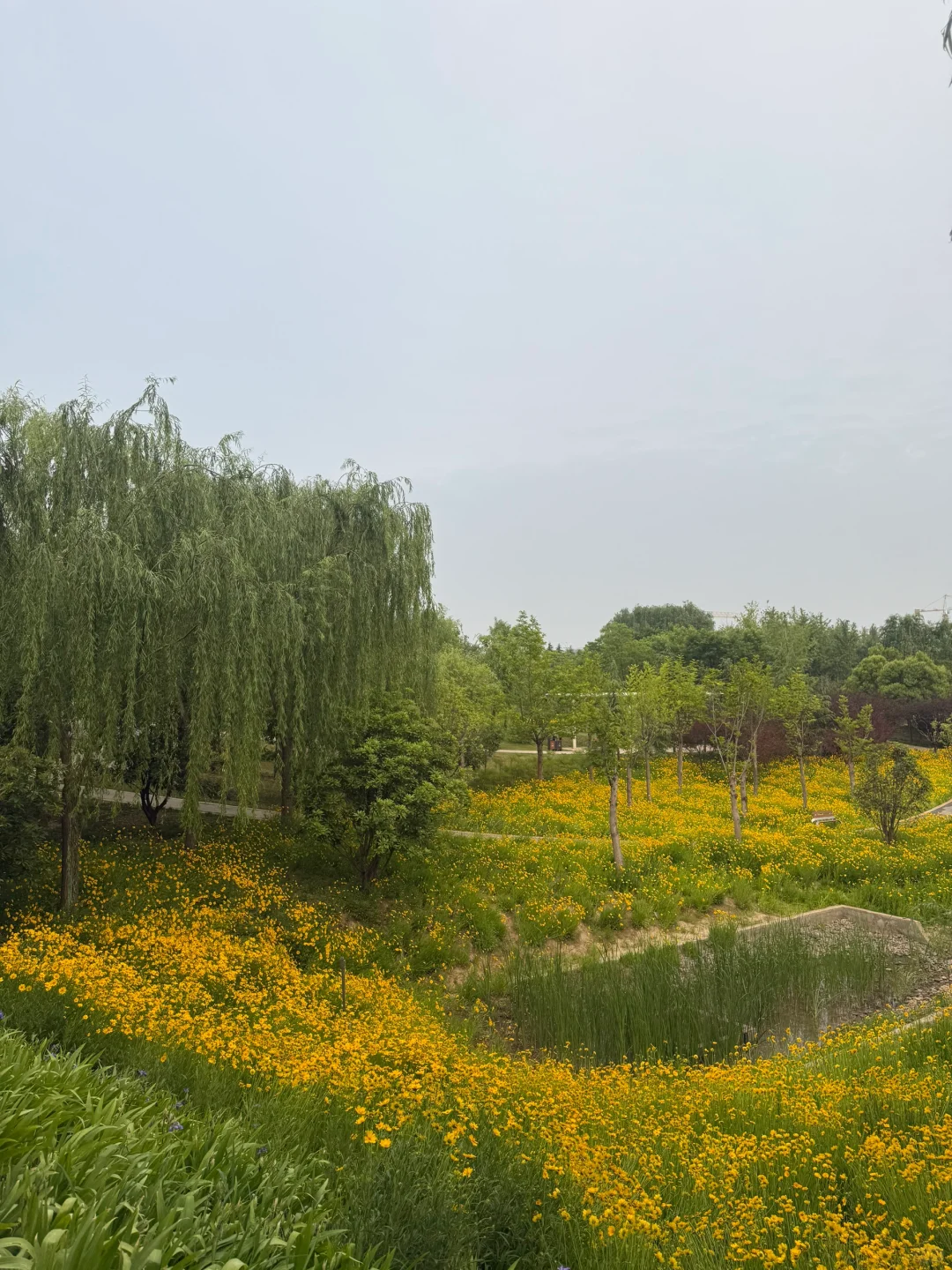 有参展需要的企业可以联系我