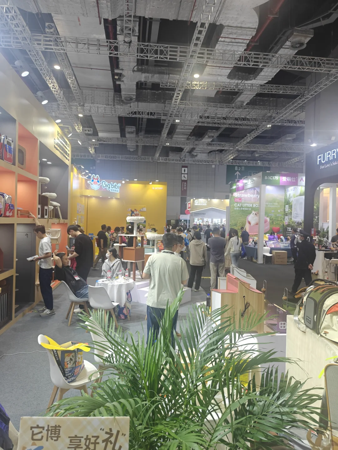 探访国家会展中心，发现宝藏品牌！