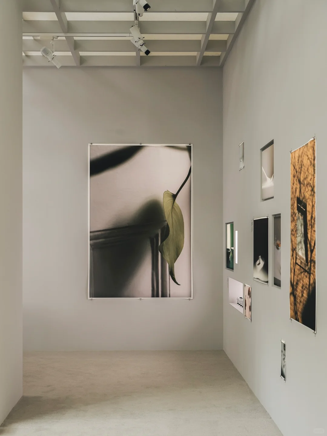 策展｜以现代主义之名