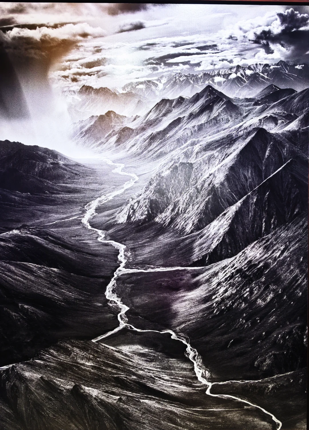 2025影像上海艺术博览会