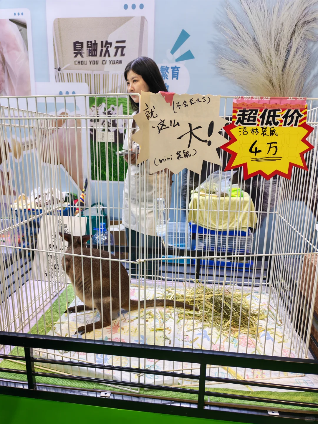 果然,逛它博会要带行李箱‼️太多免费领✔