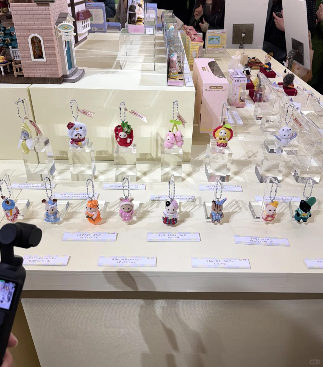 森贝儿40周年展✨可算来了