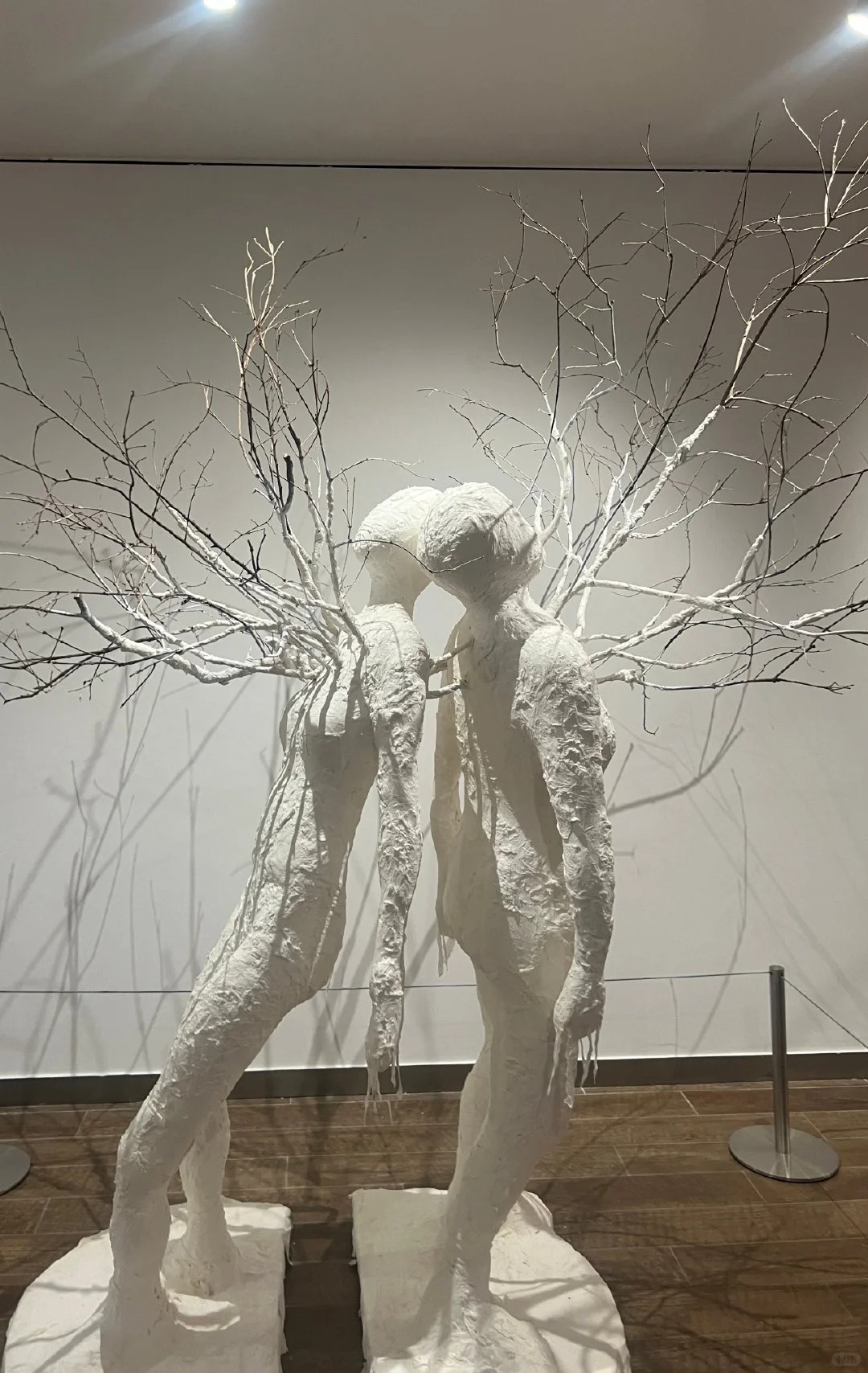 每年六月杭州限定，一年一度的国美毕业展❗️