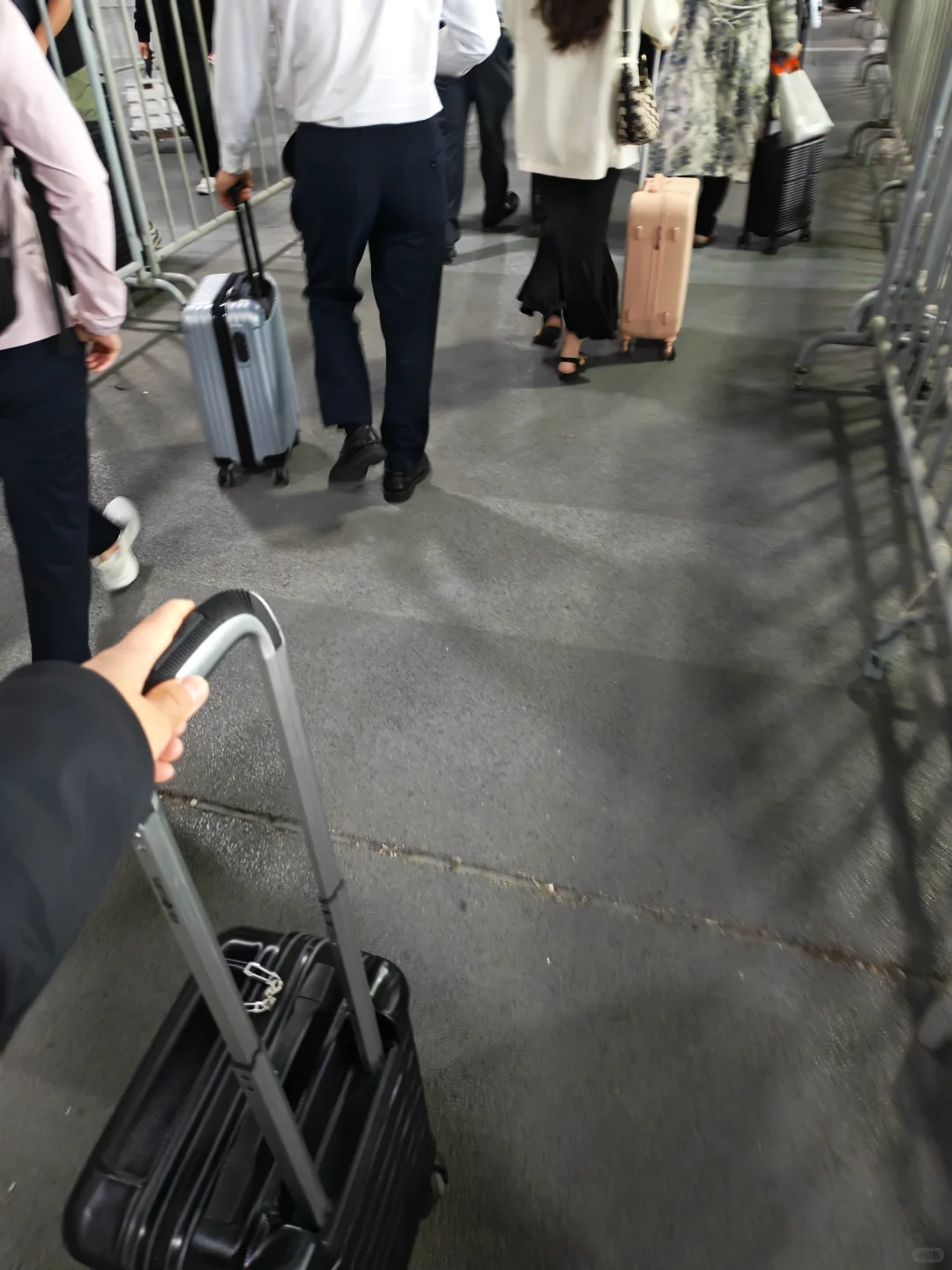 果然,逛它博会要带行李箱‼️太多免费领✔