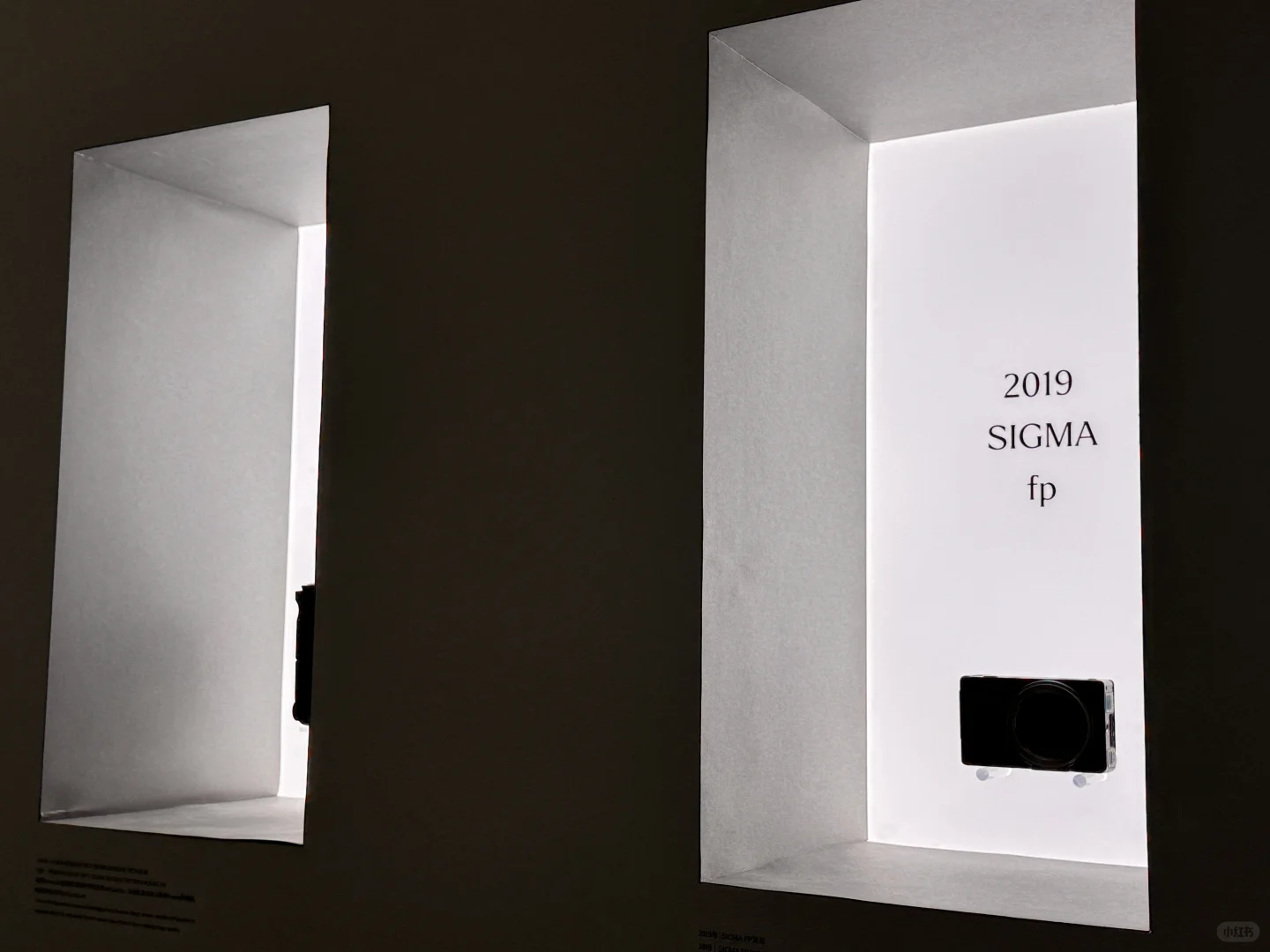 PHOTOFAIRS SIGMA的调性也太高了