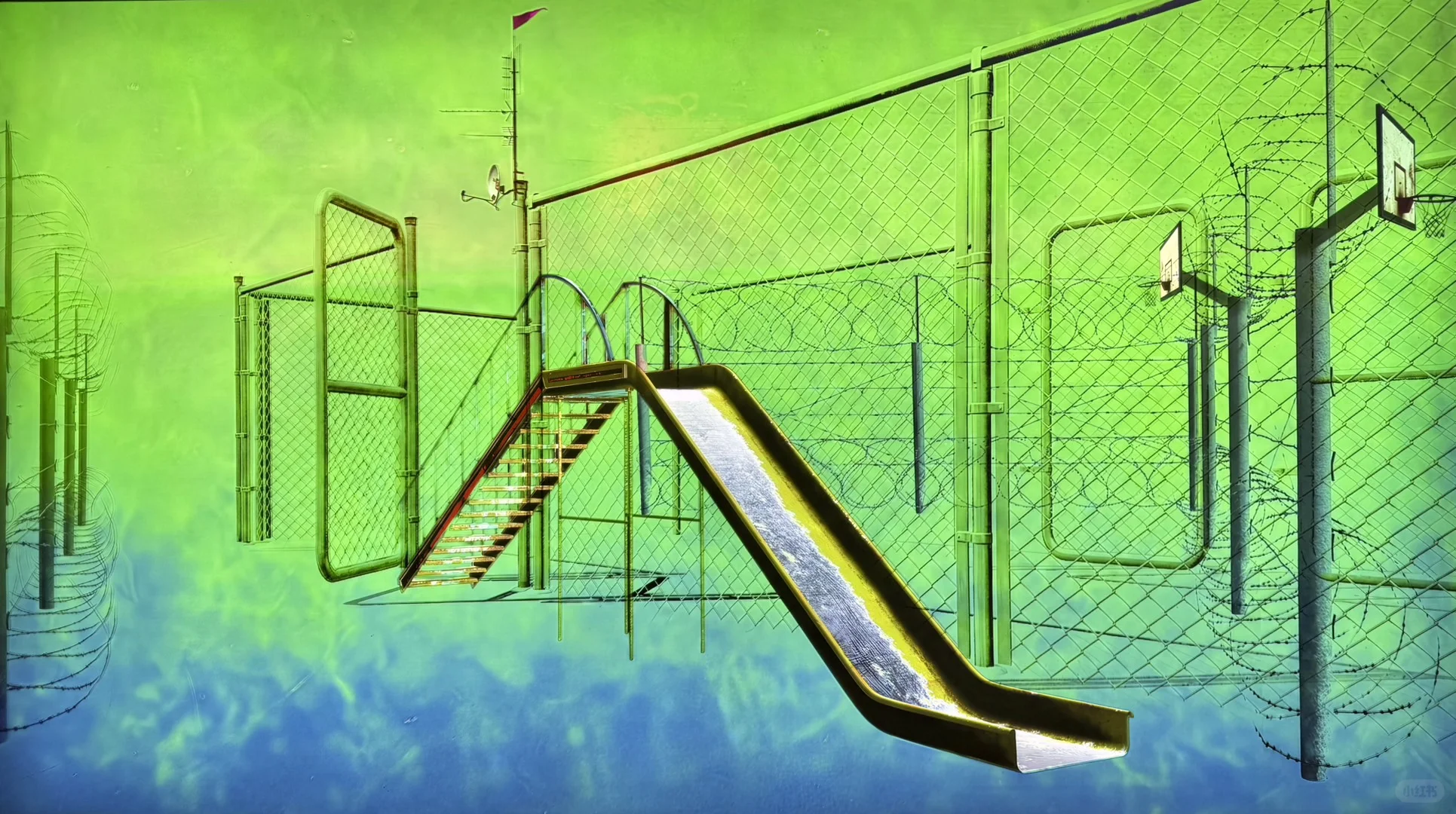 参观“第十届影像上海艺术博览会”