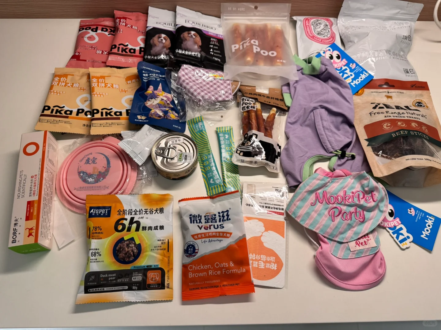 宠物博览会-它博会收获满满的一天