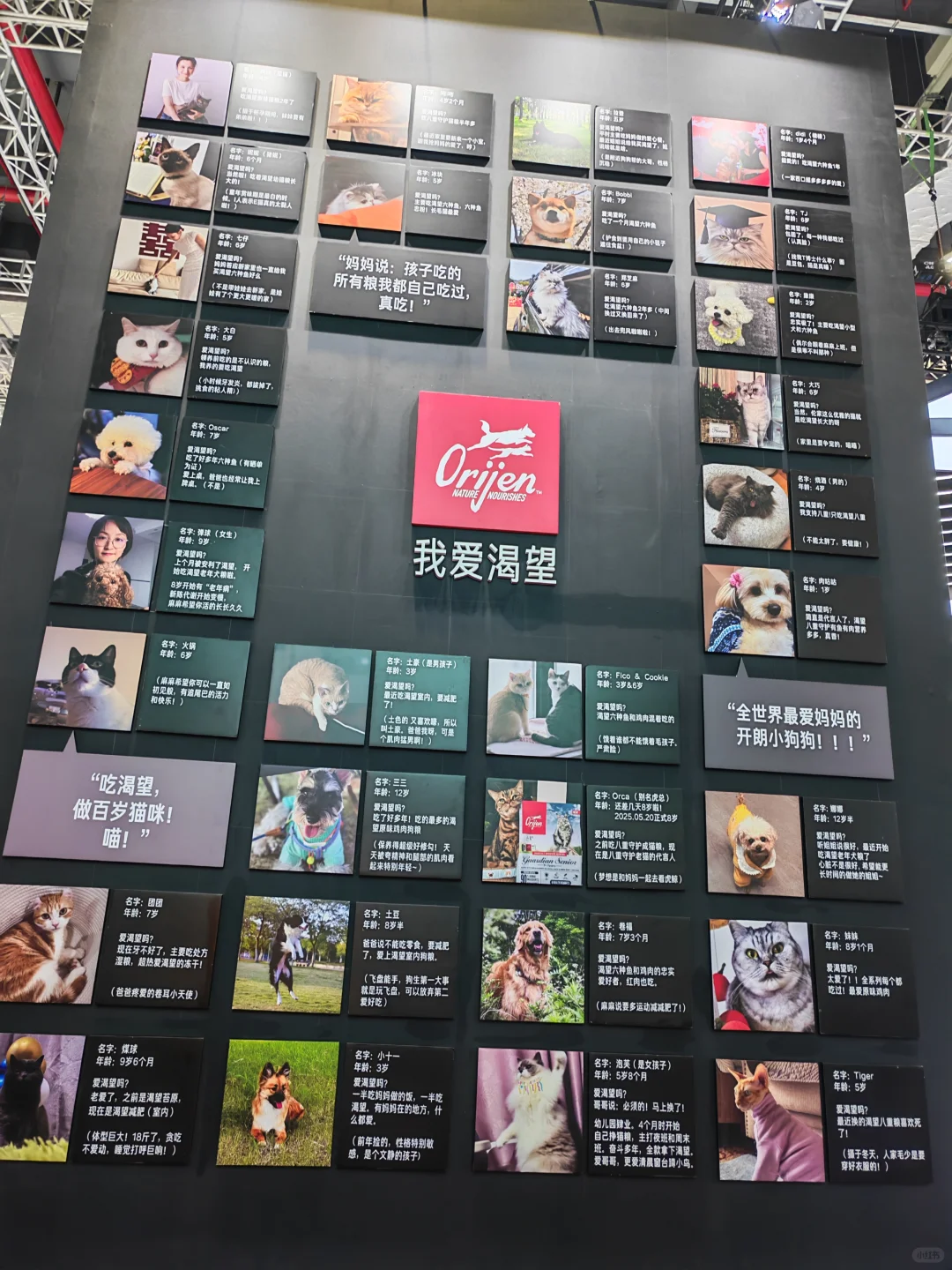 果然,逛它博会要带行李箱‼️太多免费领✔