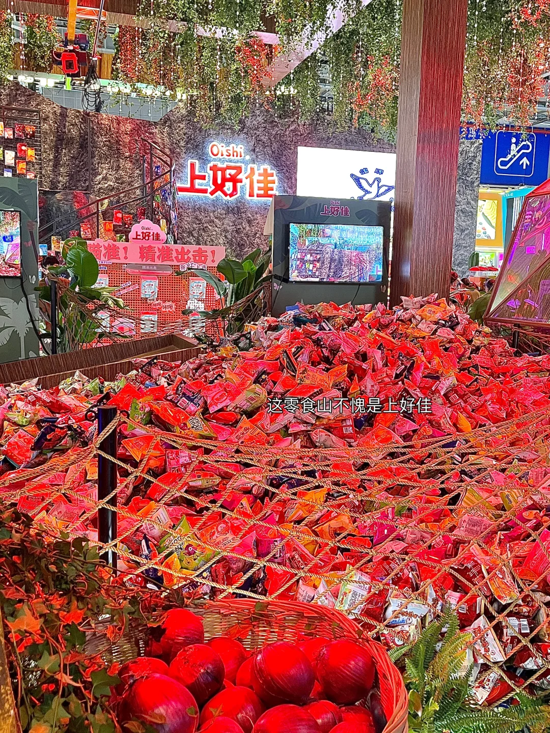 没有人可以空着手离开进博会?羊毛真的太多