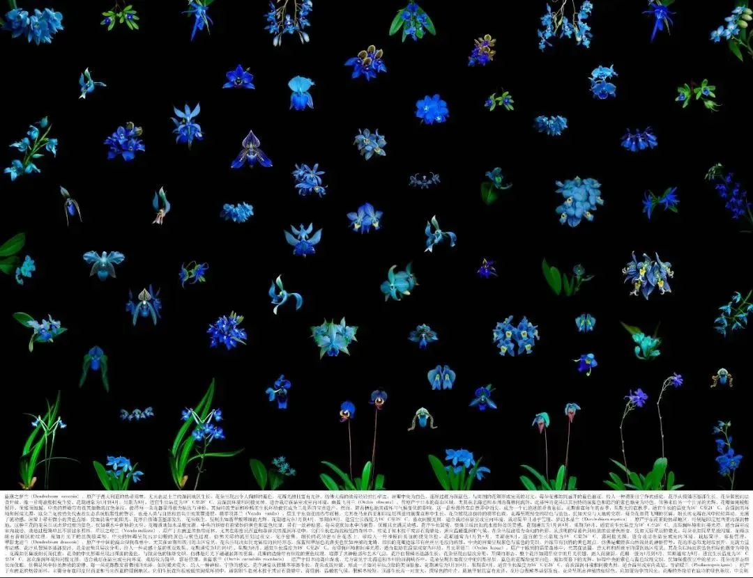 第十届影像上海艺术博览会