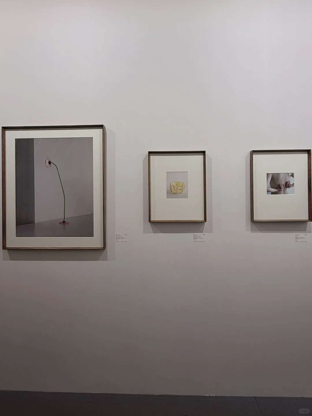 影像上海博览会｜用镜头?捕捉瞬间的“画”们