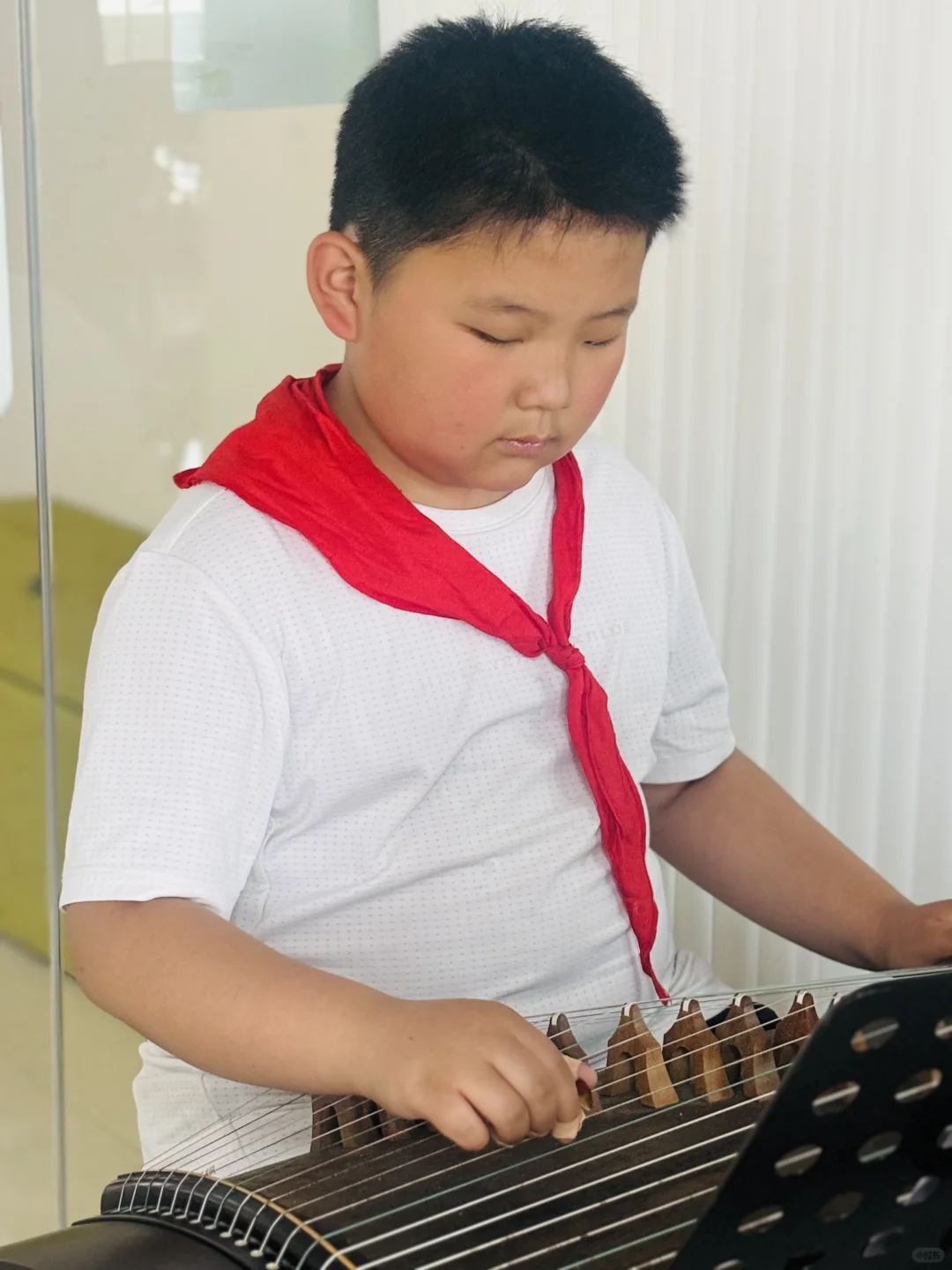 漯河会展中心古筝学堂 专业教古筝20年