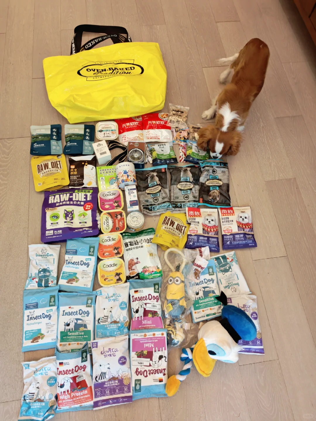 果然,逛它博会要带行李箱‼️太多免费领✔