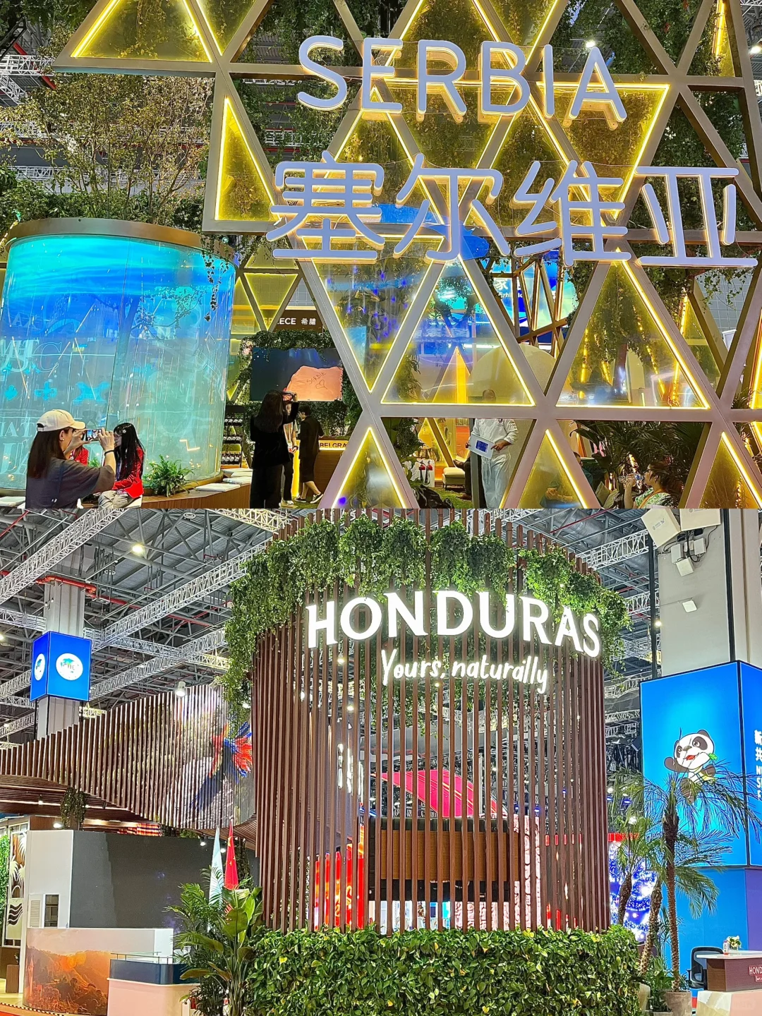 没有人可以空着手离开进博会?羊毛真的太多