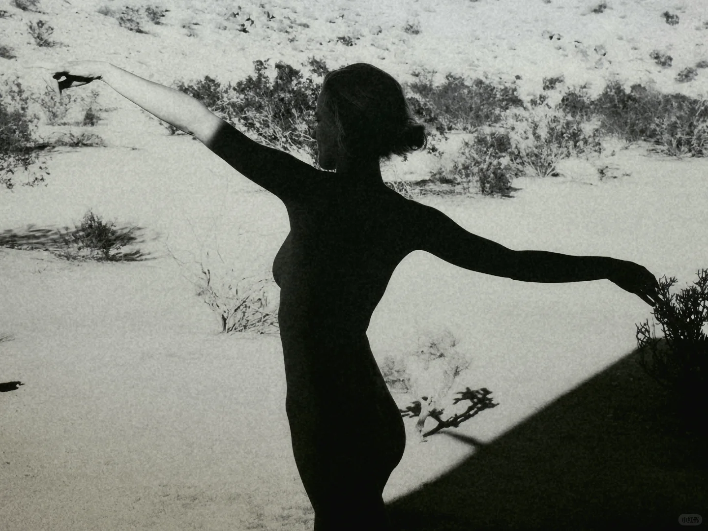 【上海艺术博览会，一场灵魂的触动之旅✨】