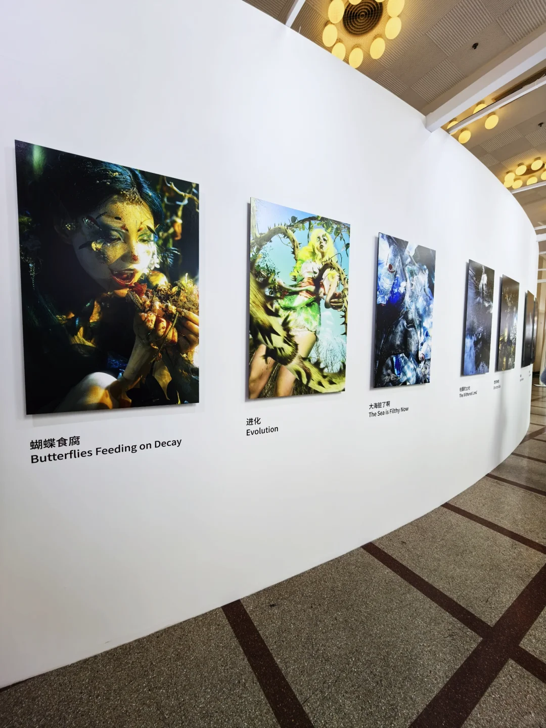 2025影像上海艺术博览会